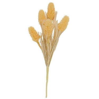 Amber Waves Bush - The Fox Decor